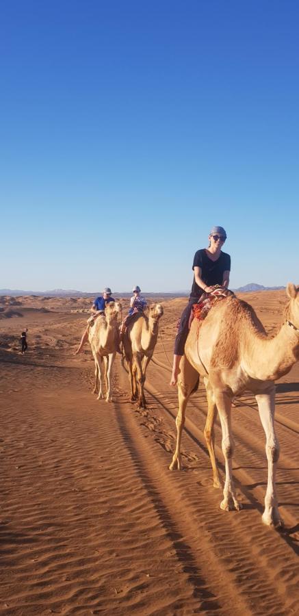 Al Hawiyah Camp Hotel Luaran gambar
